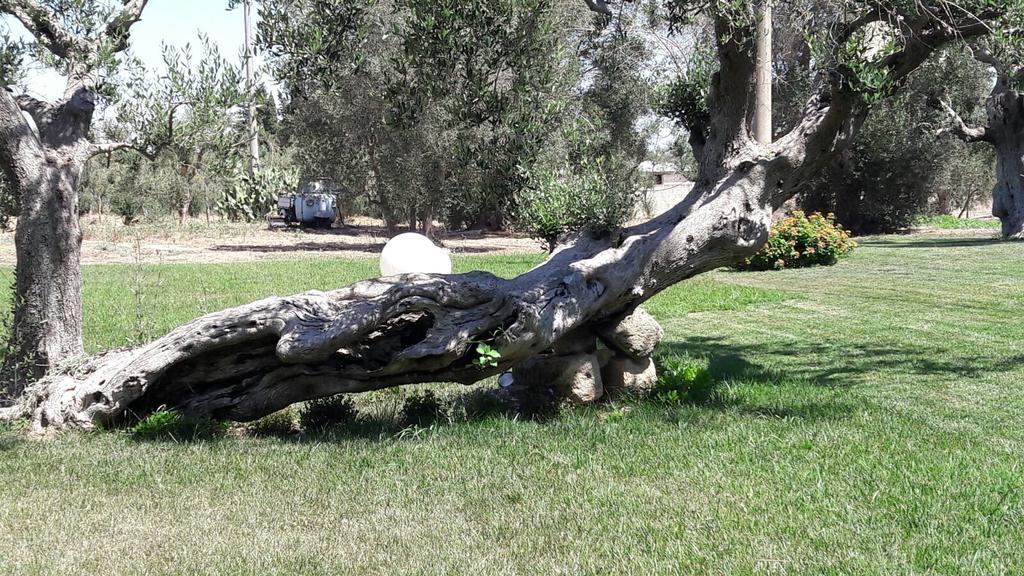 Tenuta Cavalieri Leverano Esterno foto