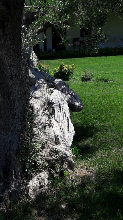 Tenuta Cavalieri Leverano Esterno foto