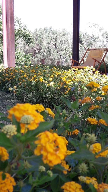 Tenuta Cavalieri Leverano Esterno foto